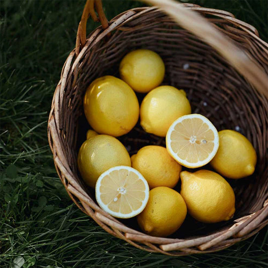 BLACK MARQUINA CANDLE | VEGAN COCONUT WAX | 17 OZ