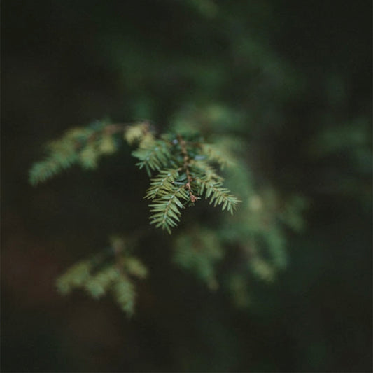 WHITE MARBLE CANDLE | VEGAN COCONUT WAX | 6 OZ